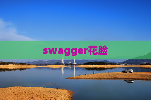 swagger花脸 swagger花脸